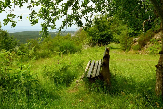 不仅仅是看 不仅仅是看